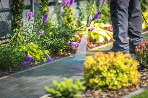 Spring Cleaning in Pine Hills, CA