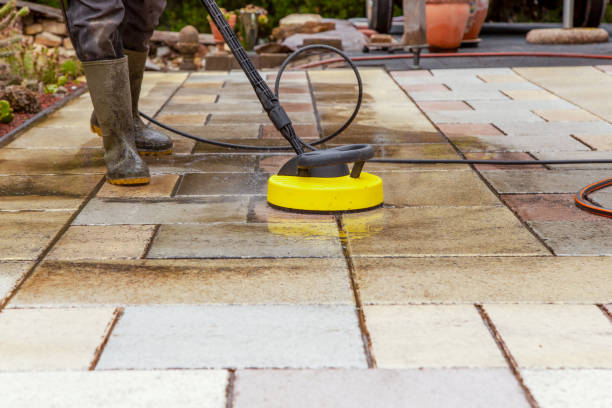 Best Driveway Pressure Washing  in Pine Hills, CA